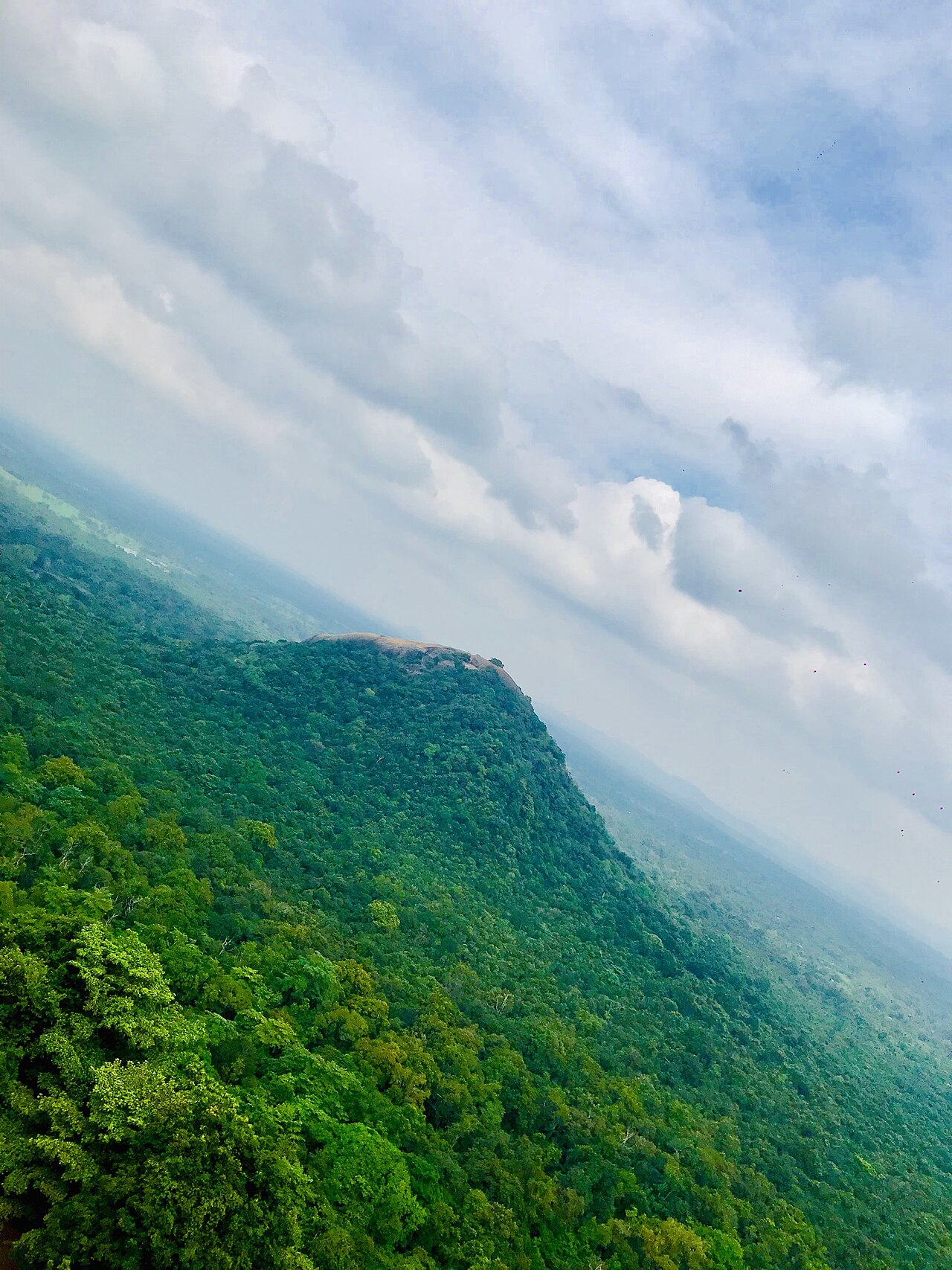 Roaming Into Sri Lanka: A Visitor's Reading Guide